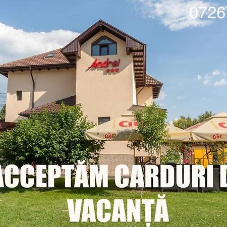Pensiunea Andrei Rm Valcea Râmnicu Vâlcea Екстериор снимка