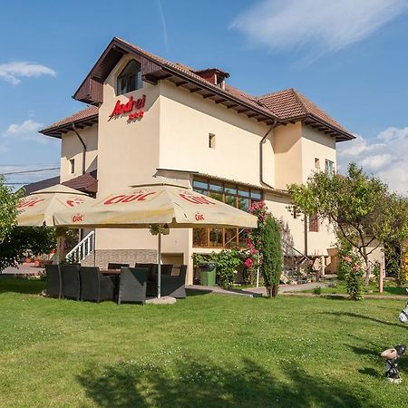 Pensiunea Andrei Rm Valcea Râmnicu Vâlcea Екстериор снимка