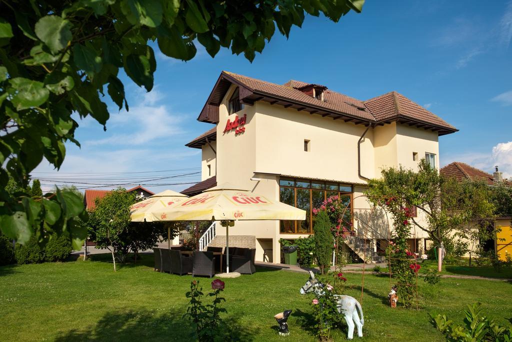 Pensiunea Andrei Rm Valcea Râmnicu Vâlcea Екстериор снимка